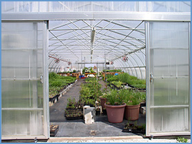 Greenhouse
