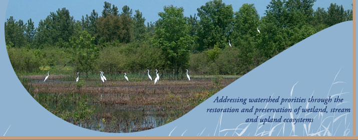 Addressing watershed priorities through the restoration and ...